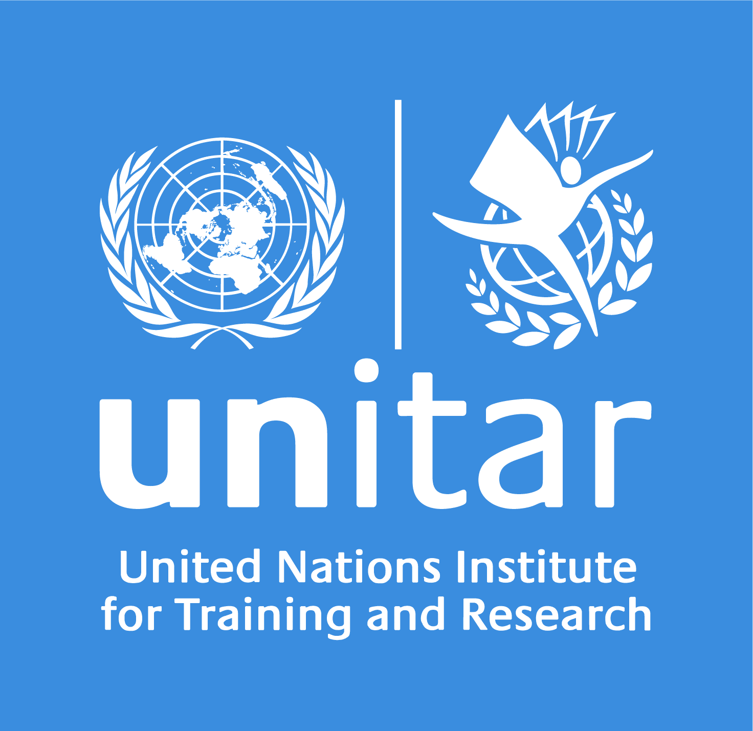 Institut des Nations Unies pour la Formation et la Recherche