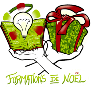 Logo Noel des formations