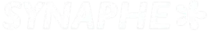 logo synaphe