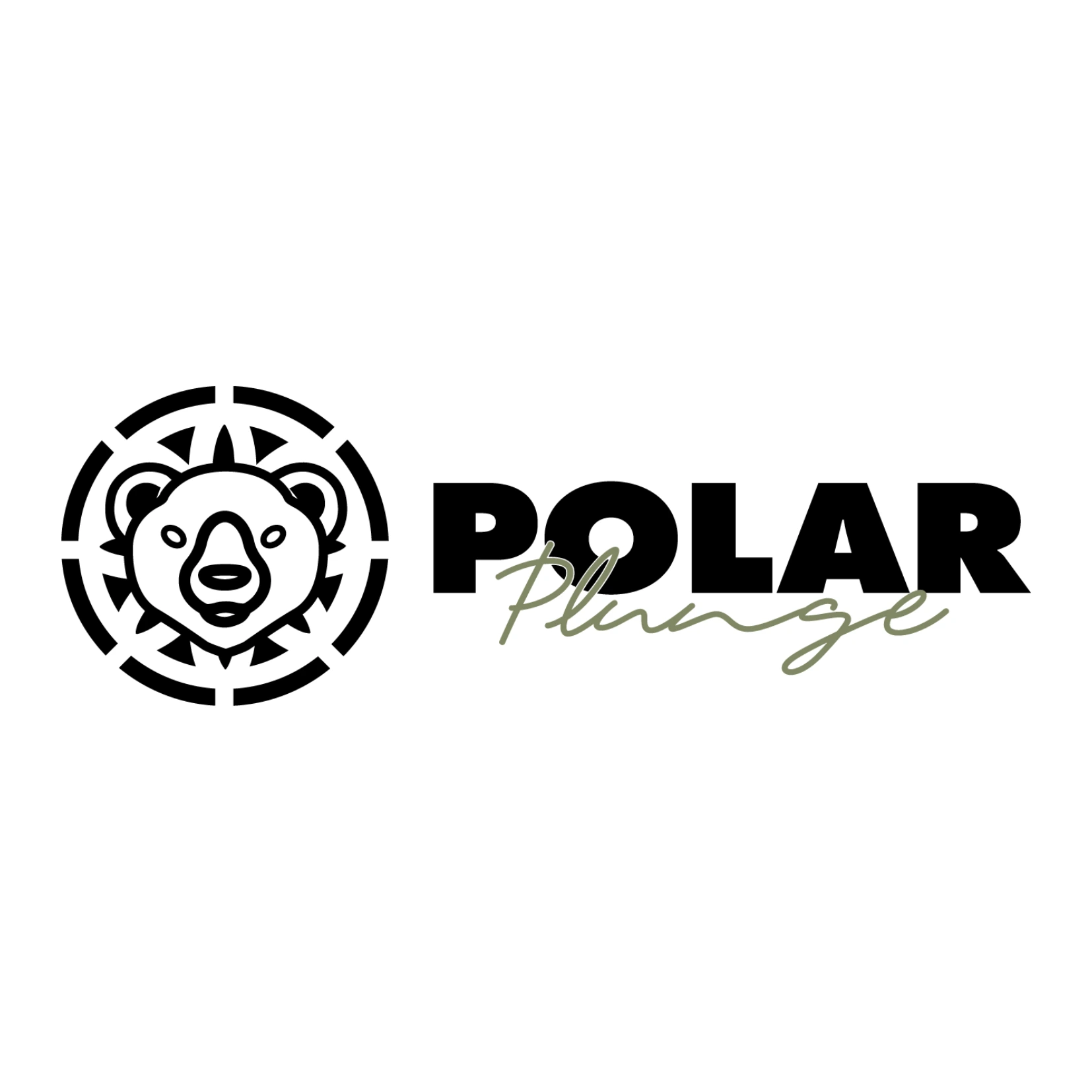  The Polar Plunge